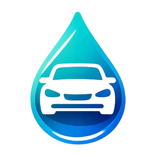 Lavage auto à domicile Fillé